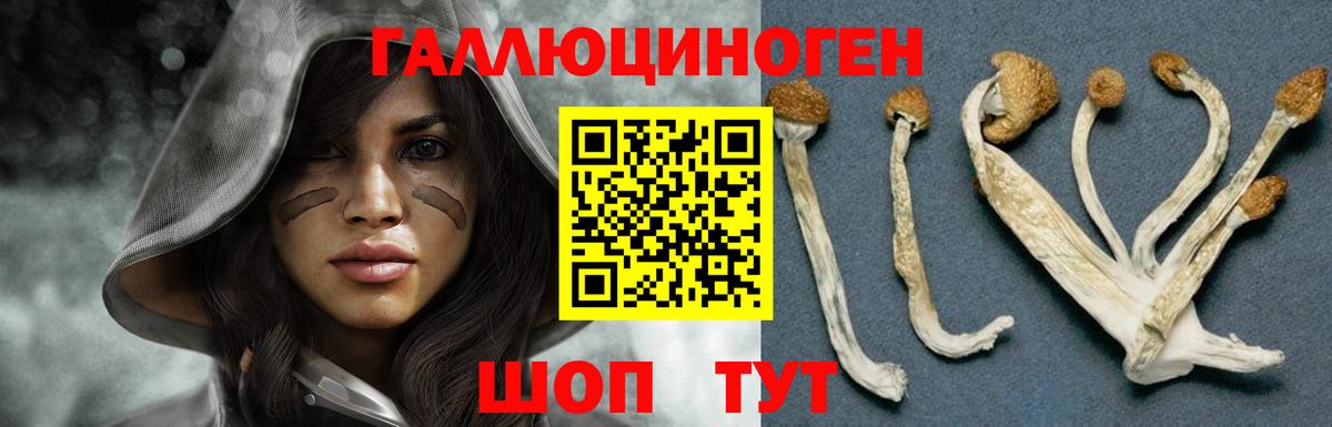 Псилоцибиновые грибы MAGIC MUSHROOMS Старая Купавна